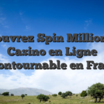Découvrez Spin Million : Le Casino en Ligne Incontournable en France