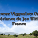 Découvrez Viggoslots Casino : L’Expérience de Jeu Ultime en France