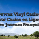 Découvrez Vinyl Casino : Le Meilleur Casino en Ligne pour les Joueurs Français