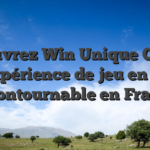 Découvrez Win Unique Casino : L’expérience de jeu en ligne incontournable en France