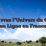 Découvrez l’Univers du Casino en Ligne en France