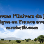 Découvrez l’Univers du Jeu en Ligne en France avec mrxbetfr.com