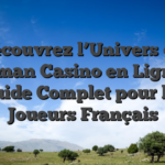 Découvrez l’Univers du Roman Casino en Ligne : Guide Complet pour les Joueurs Français