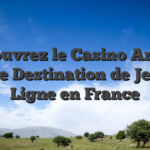Découvrez le Casino Amon : Votre Destination de Jeu en Ligne en France