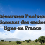 Découvrez l’univers passionnant des casinos en ligne en France