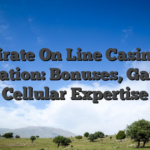 Fatpirate On Line Casino Uk Evaluation: Bonuses, Games & Cellular Expertise