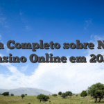 Guia Completo sobre Novo Casino Online em 2026