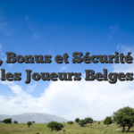 Jeux, Bonus et Sécurité pour les Joueurs Belges