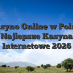 Kasyno Online w Polsce  Najlepsze Kasyna Internetowe 2026