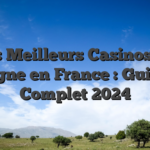 Les Meilleurs Casinos en Ligne en France : Guide Complet 2024