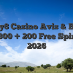 Lucky8 Casino Avis & Bonus de 1 300 + 200 Free Spins en 2026