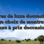 Montres de luxe doccasion Un large choix de montres de luxe à prix doccasion