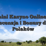 Nomini Kasyno Online PL ️ Recenzja i Bonusy dla Polaków