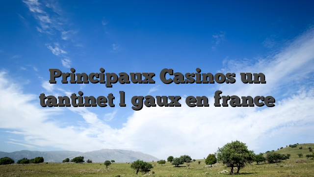 Principaux Casinos un tantinet l�gaux en france