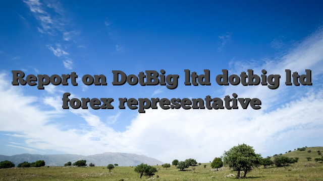 Report on DotBig ltd dotbig ltd forex representative