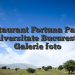 Restaurant Fortuna Palace Universitate Bucuresti :: Galerie foto