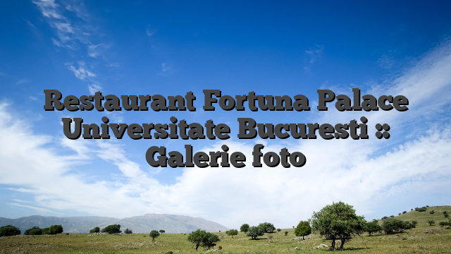 Restaurant Fortuna Palace Universitate Bucuresti :: Galerie foto
