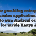 Valor gambling enterprise local casino application down load to own Android os APK and ios inside Kenya 2025