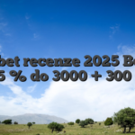 Vicibet recenze 2025  Bonus 325 % do 3000  + 300 FS