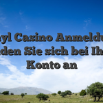 Vinyl Casino Anmeldung Melden Sie sich bei Ihrem Konto an