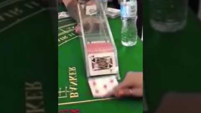 No deposit Bonus Rules 2025 Personal gambling establishment no deposit password during the Time2play