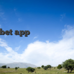 waspbet app ที่นี่มีครบ แตกจริง จ่ายจริง ระบบโคตรลื่นไม่มีสะดุด