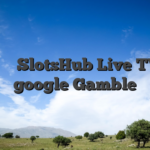 Λογισμικό SlotsHub Live TV στο google Gamble