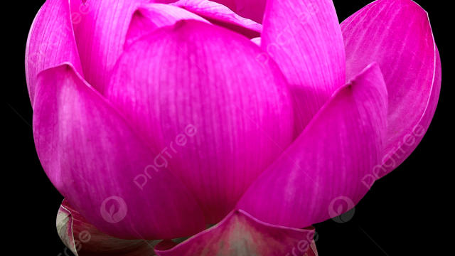 Абразия извлечения успеха в Лото Авиаклуб: шаг за шаг