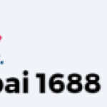 Абсолютно все промокоды букмекерских фирм в 2025 ياسمين الجلال الياسمين