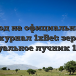 Вход на официальный веб-журнал 1xBet: зеркало актуальное лучник 1xBet
