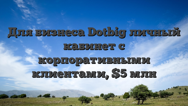 Для бизнеса Dotbig личный кабинет с корпоративными клиентами, $5 млн