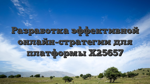 Разработка эффективной онлайн-стратегии для платформы X25657
