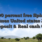 100 percent free Spins Bonuses United states 2025 No-deposit & Real cash Offers