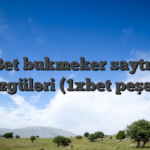 1xBet bukmeker saytının güzgüləri (1xbet peşəsi)