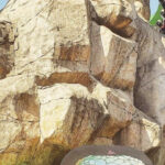 40 Freispiele Casino cosmic fortune ohne Einzahlung Aktuelle Angebote 2026