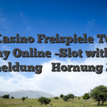 50 Kasino Freispiele Turbo Play Online -Slot within Anmeldung ️ Hornung 2026