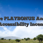 Allege PLAYBONUS And you can Accessibility Incentives