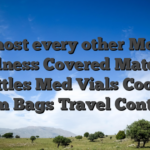 Almost every other Mochi Wellness Covered Material Bottles Med Vials Cooler Serum Bags Travel Container