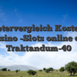 Anbietervergleich Kostenlose Casino -Slots online der Traktandum-40