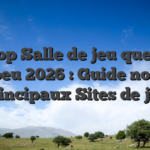 Au top Salle de jeu quelque peu 2026 : Guide nos Principaux Sites de jeu