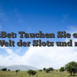 BassBet: Tauchen Sie ein in die Welt der Slots und mehr