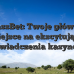 BassBet: Twoje główne miejsce na ekscytujące doświadczenia kasynowe