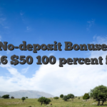 Best No-deposit Bonuses Feb 2026 $50 100 percent free