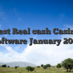 Best Real cash Casino Software January 2026