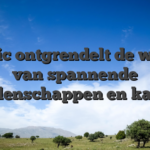 Betclic ontgrendelt de wereld van spannende weddenschappen en kansen