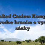 BetonRed Casino: Kompletní průvodce hraním o vysoké sázky