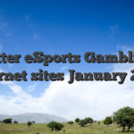 Better eSports Gambling Internet sites January 2026