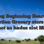 Buying Beginning Searching Collection Grocery store Close hot as hades slot Me