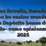 Casino Estrella, Reseña, tiki ho ho ho casino wonders $ algún Depósito bonos de este modo­ como opiniones de 2025