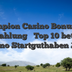 Champion Casino Bonus qua Einzahlung ᗎ Top 10 betamo Casino Startguthaben 2026